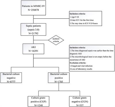 The Correlation Between the Types of Initial Bacterial Infection and Clinical Prognosis in Patients With Septic AKI